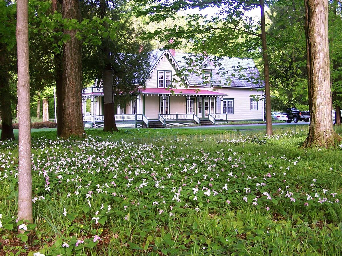 Dreamhouse Country Inn Bristol Zewnętrze zdjęcie